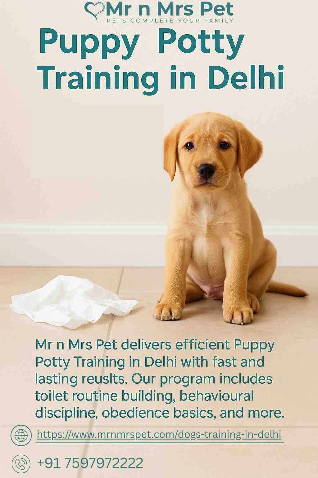 Puppy Potty Training in Delhi