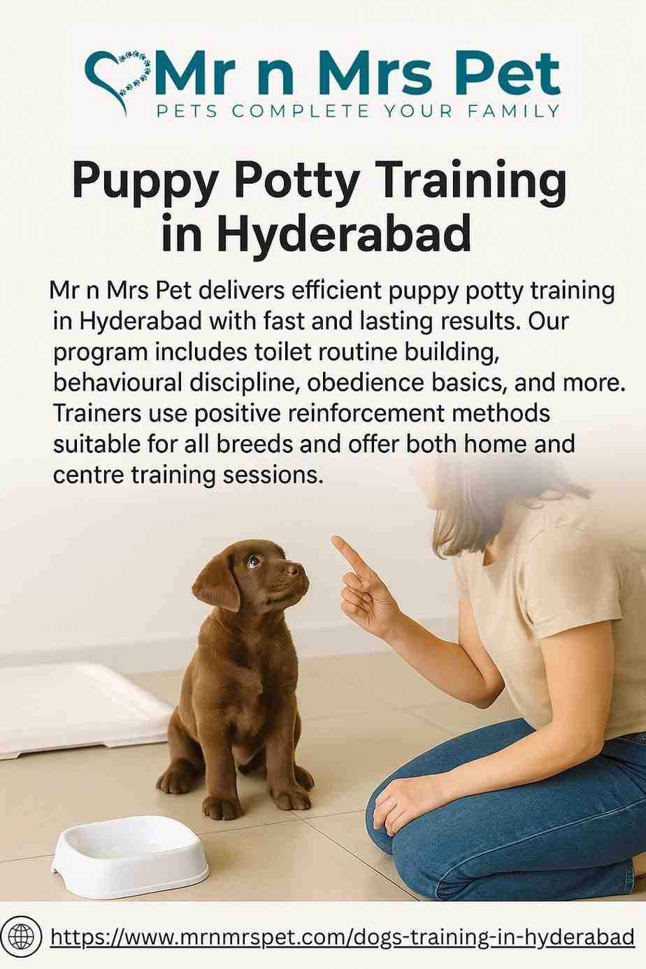 Puppy Potty Training in Hyderabad