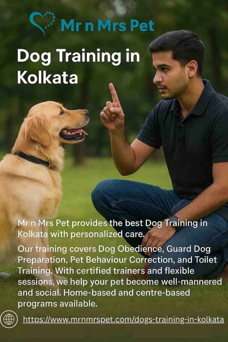 Dog Training in Kolkata