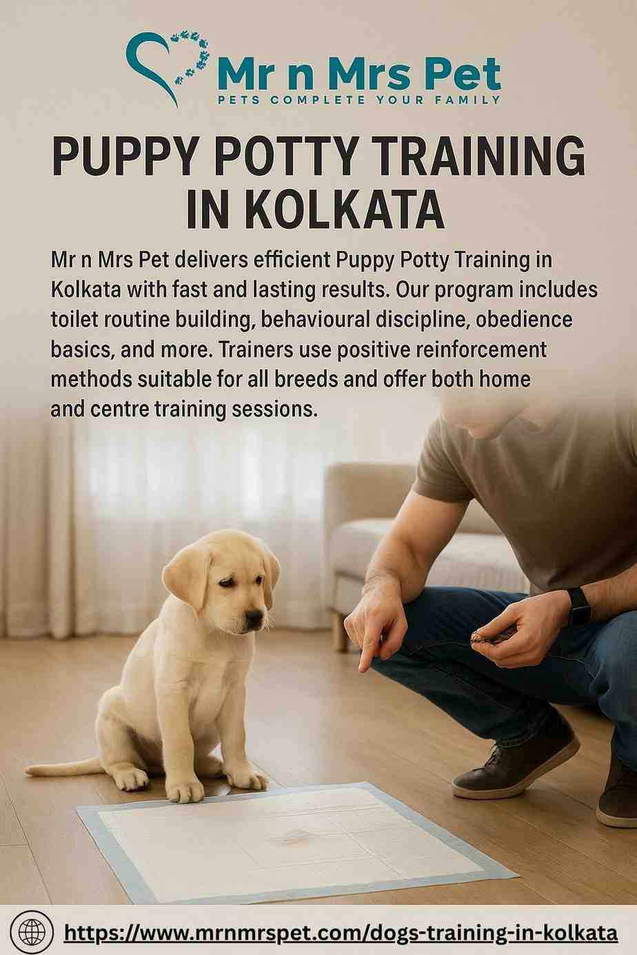 Puppy Potty Training in Kolkata