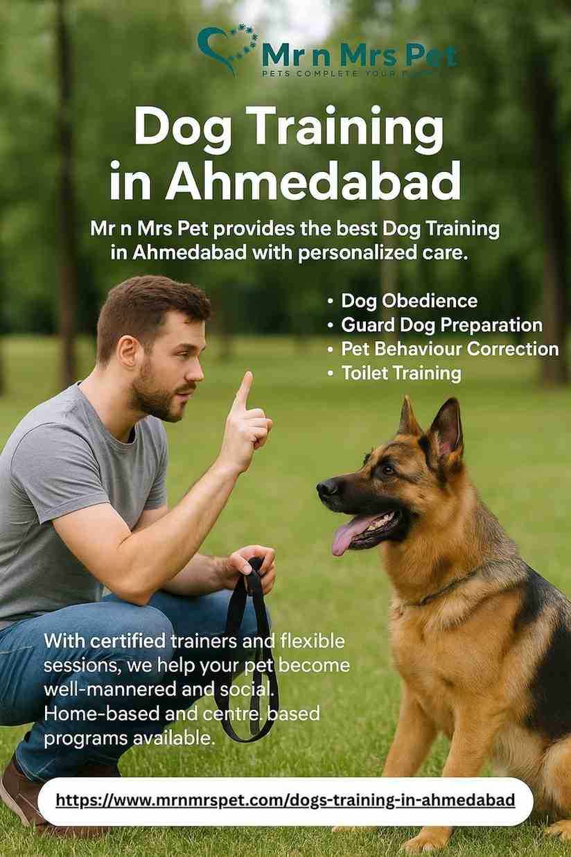 Dog Training in Ahmedabad