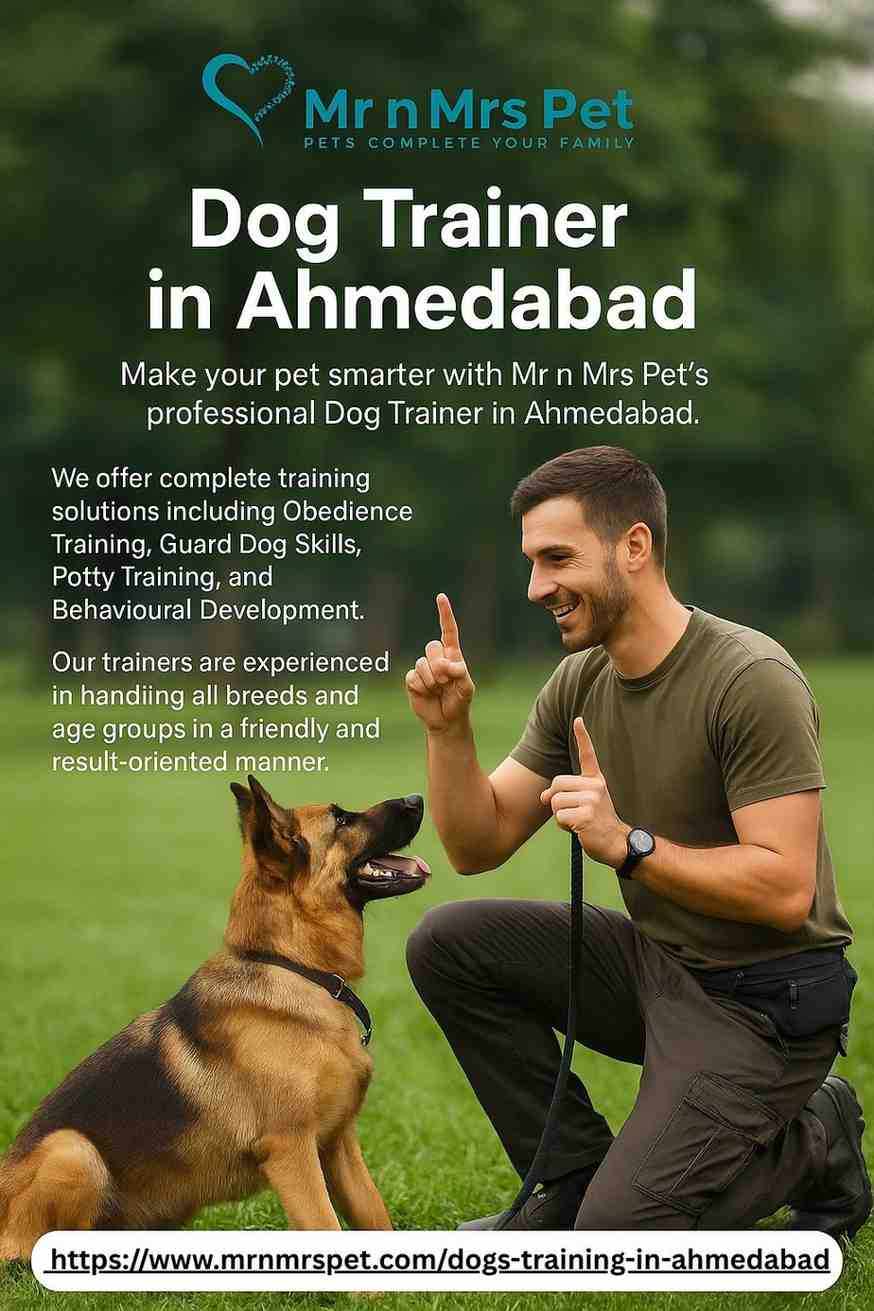 Dog Trainer in Ahmedabad