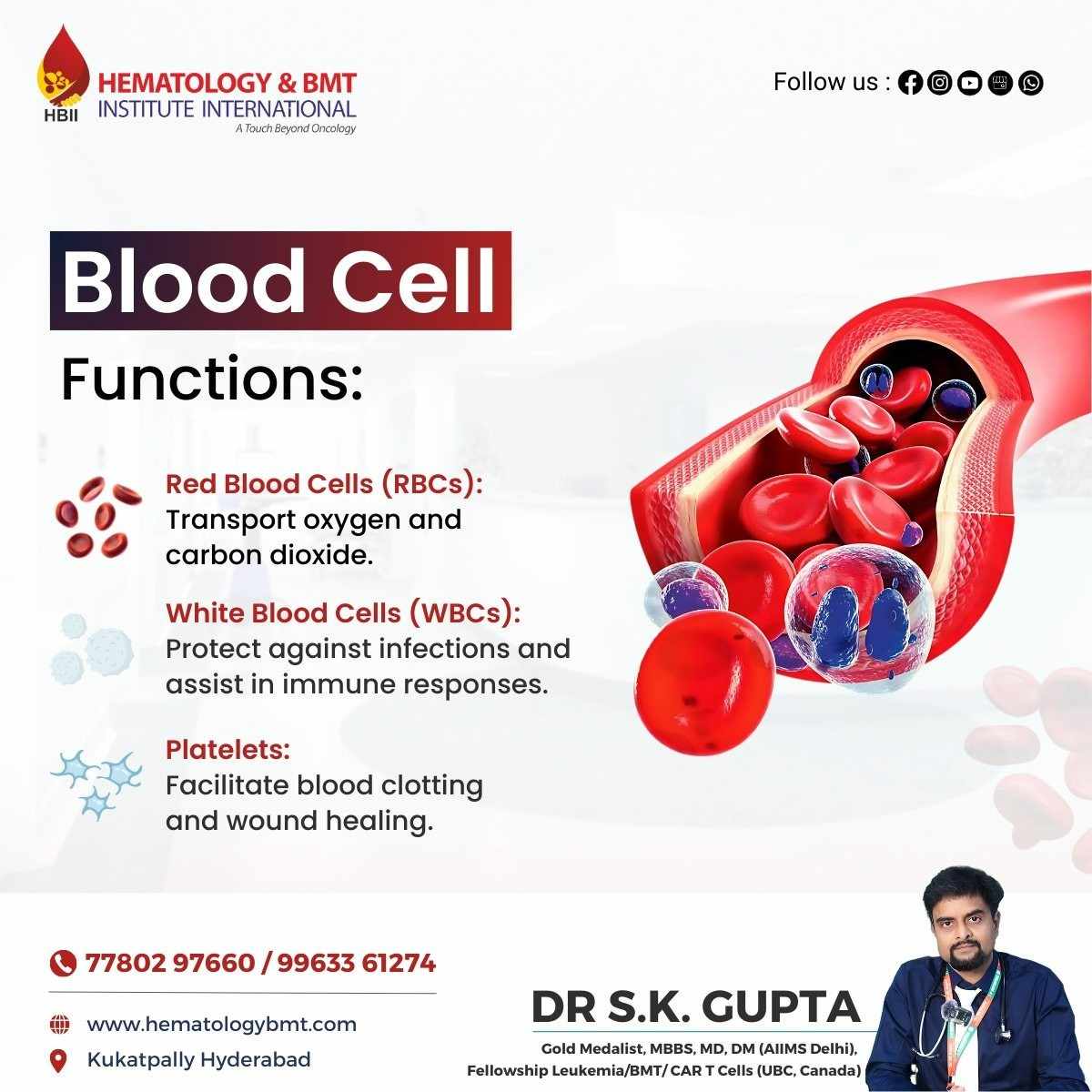 Red Blood Cells – Importance, Function, and Disorders by Dr. S K Guptha
