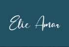 Elie Amar logo