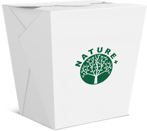 Wok Box Packaging: A Modern Solution for Takeout and Delivery