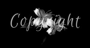Copyright