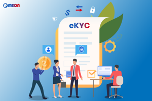 How to Choose the Best Digital KYC Software for the BFSI Industry?