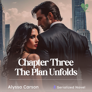 Chapter Three: The Plan Unfolds