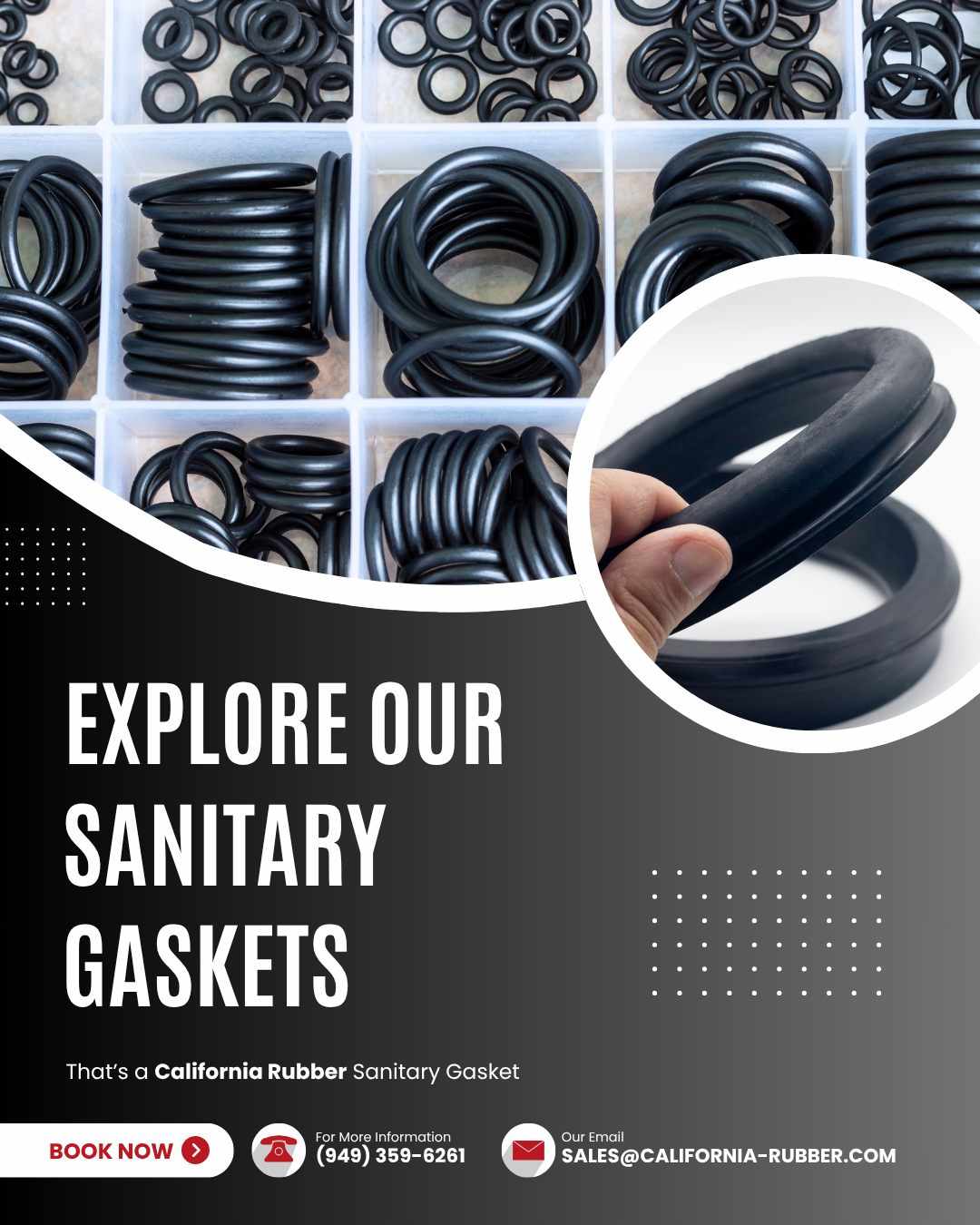Sanitary Gaskets