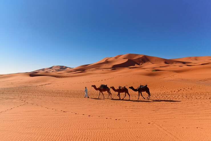 Sahara Desert Tour from Tangier: 8-Day Adventure Through Morocco