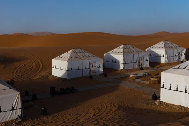 Casablanca to the Sahara: 3-Day Excursions