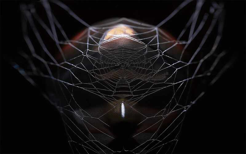 Top 10 Best Dark Web Forums