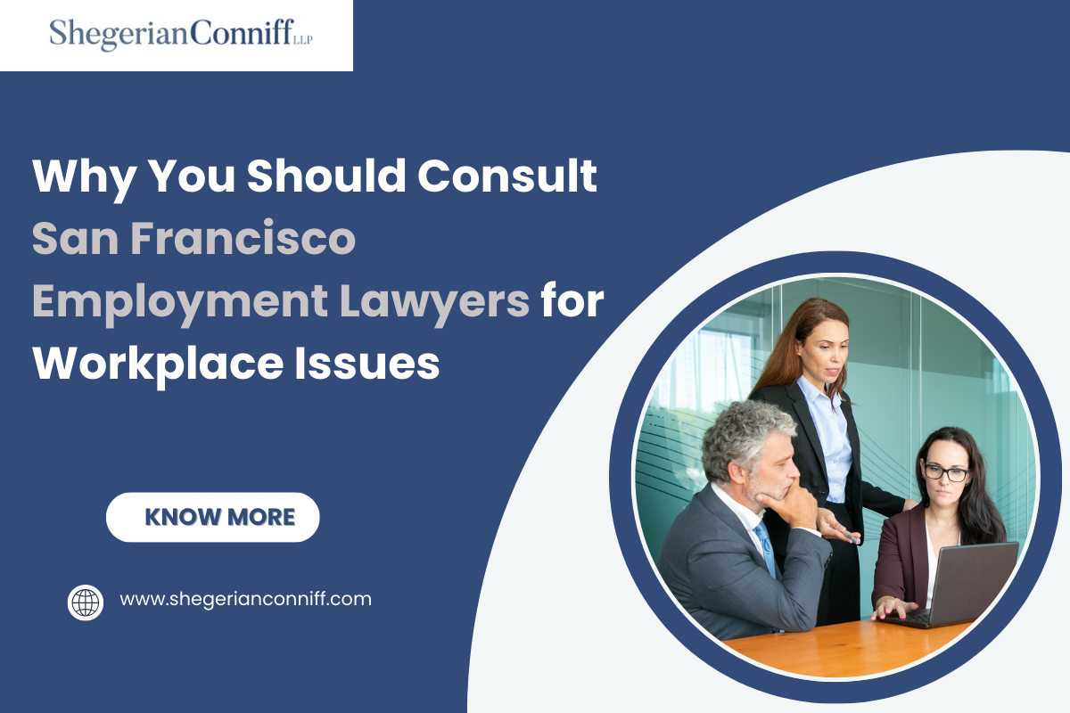Why You Should Consult San Francisco Employment Lawyers for Workplace Issues