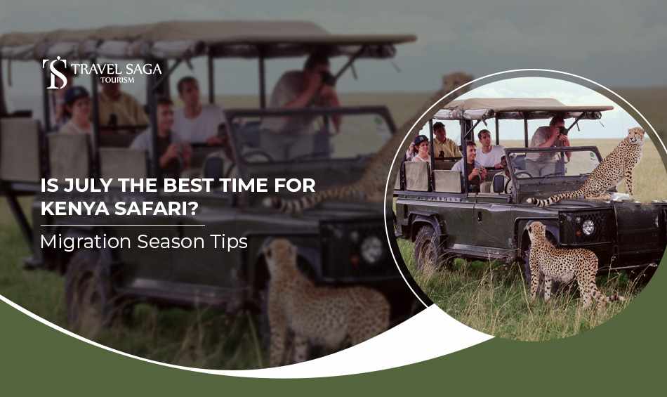 Is July the Best Time for Kenya Safari? Migration Season Tips