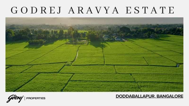 Godrej Aravya Estate Doddaballapur | Nature Plots in Bangalore