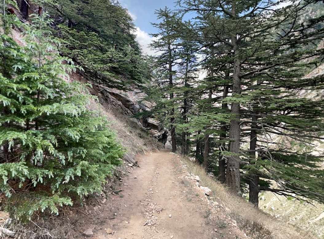 Exploring Harsil Valley and Its Hidden Treasures