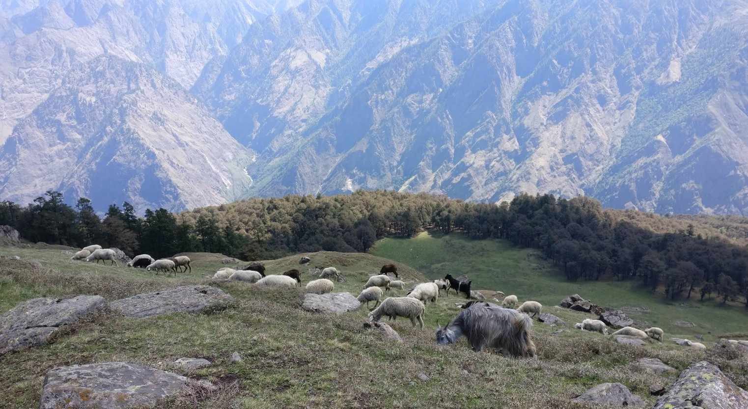 Offbeat Treks in Uttarakhand You Should Explore for Quiet Himalayan Views