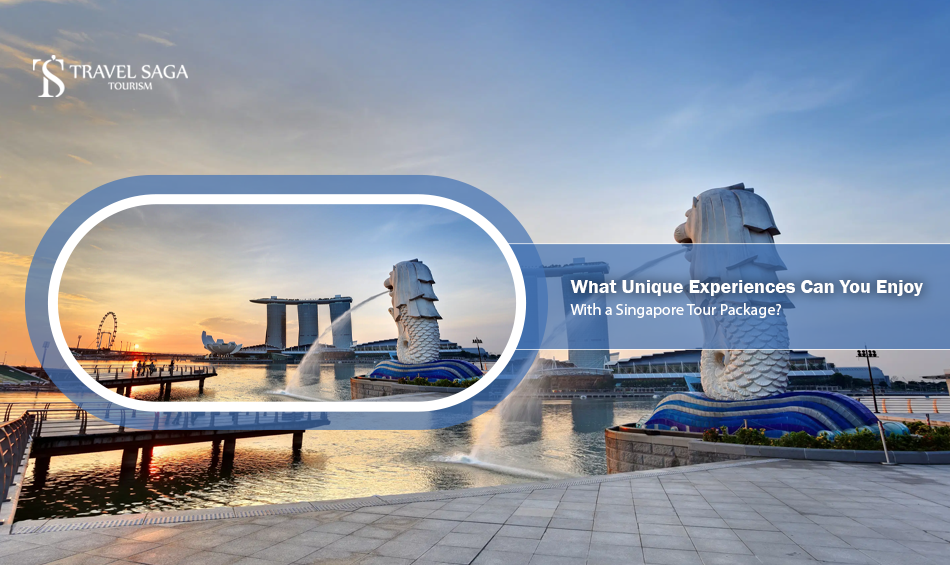 What Unique Experiences Can You Enjoy with a Singapore Tour Package?