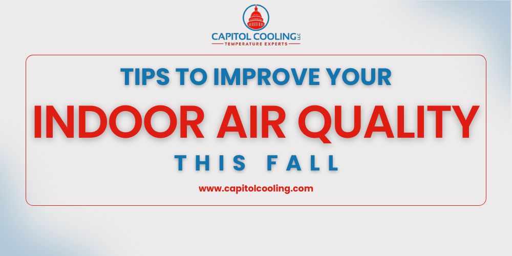 Tips to Improve Your Indoor Air Quality