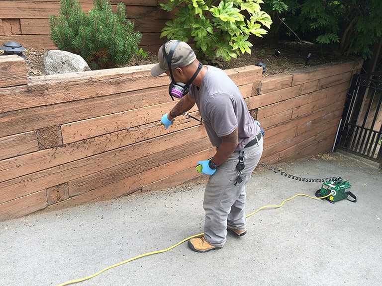 "Keeping Ants at Bay: Effective Ant Control Methods in Singapore"