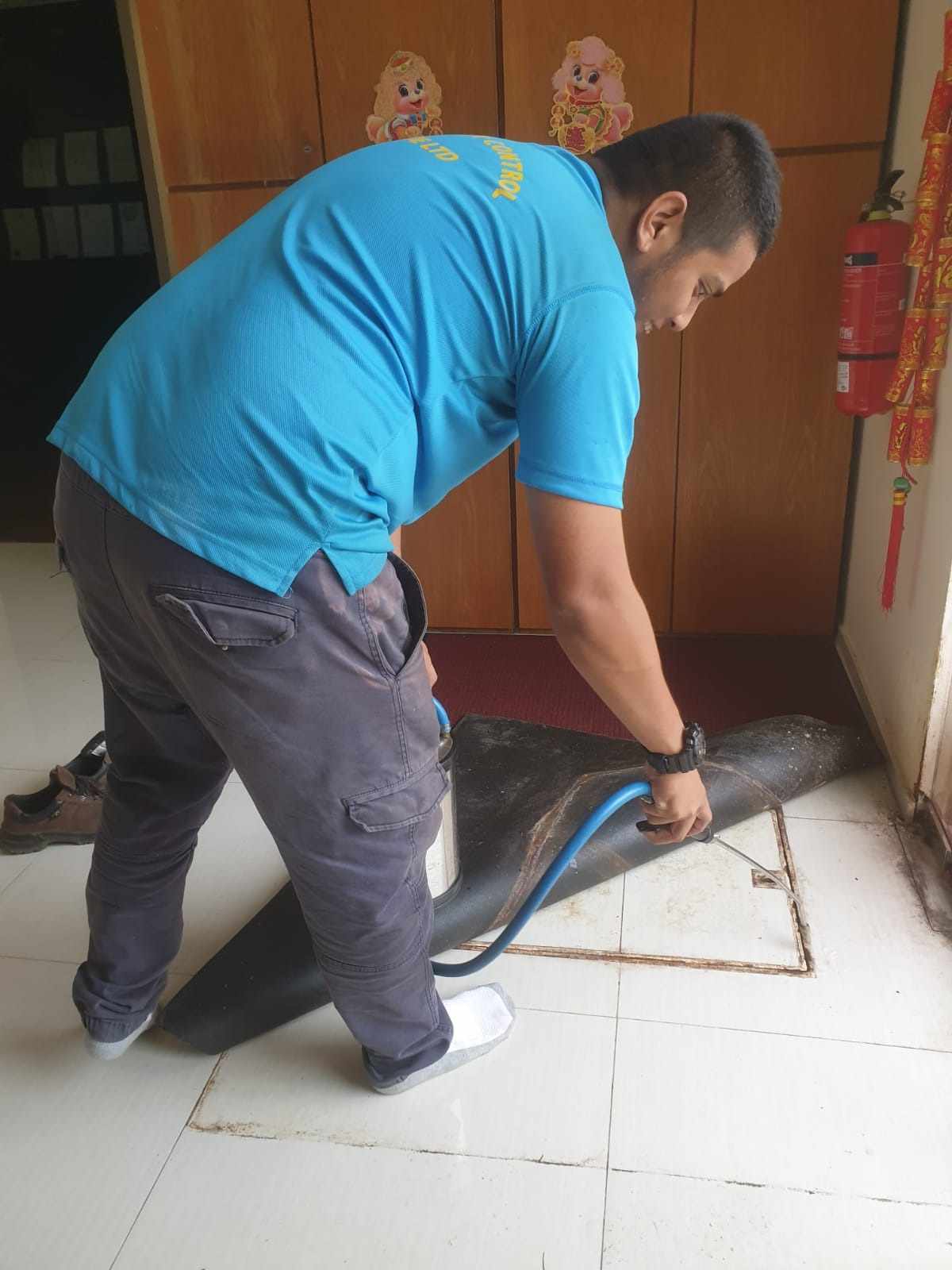 The Essential Guide to Cockroach Extermination in Singapore: Keeping Your Home Pest-Free