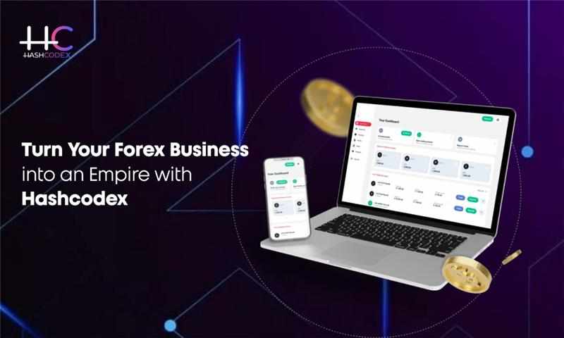 From Forex User to Forex Leader – Make It Happen with Hashcodex