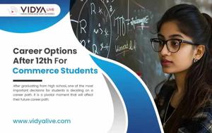 Best Career Options After 12th Commerce: Choose the Right Path for Your Future
