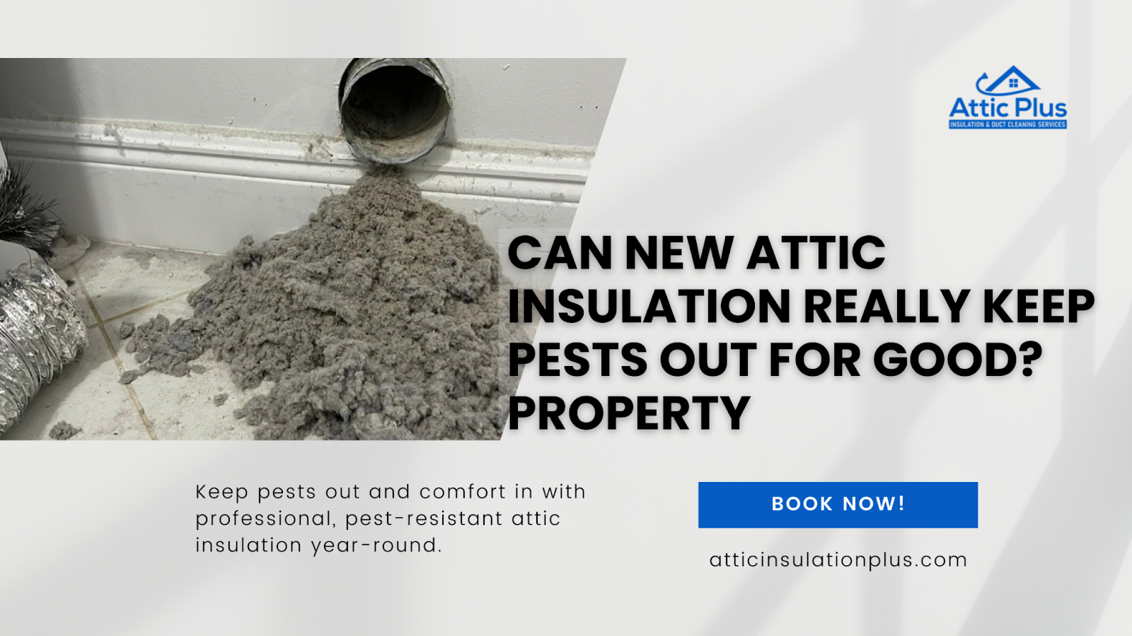 Can New Attic Insulation Really Keep Pests Out for Good?