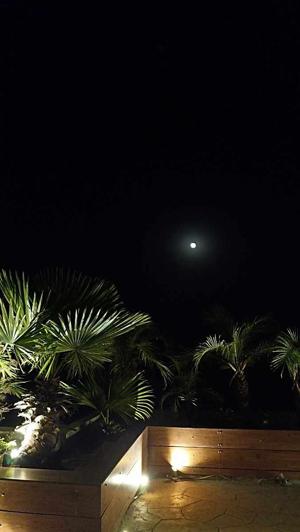 Ch 12: Talks under the moon...