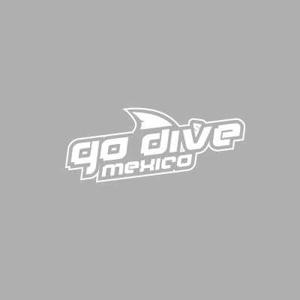 Go dive mexico