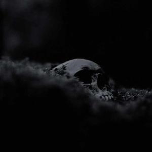 23 | echoes in skull