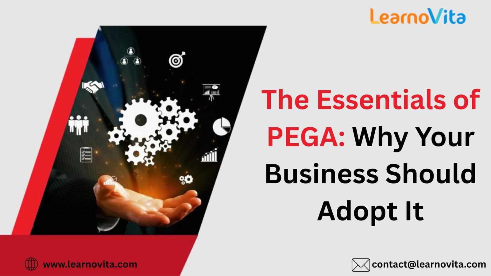 A Deep Dive into PEGA: Benefits and Applications You Should Know