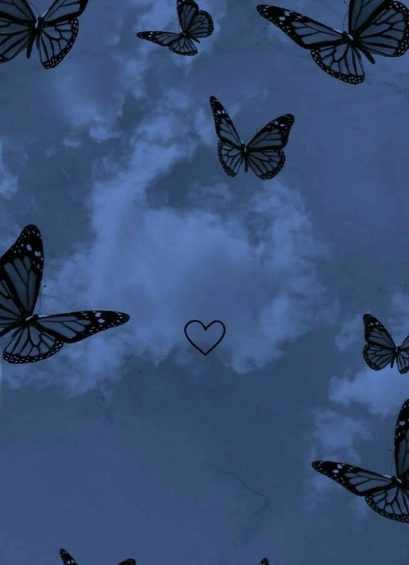 Butterfly Mind 🦋