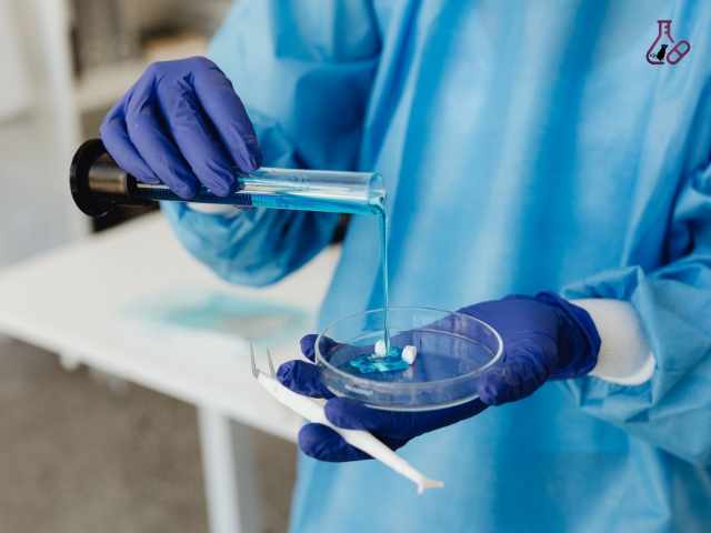 Understanding Toxicology Services: A Guide to Nonclinical Safety Research