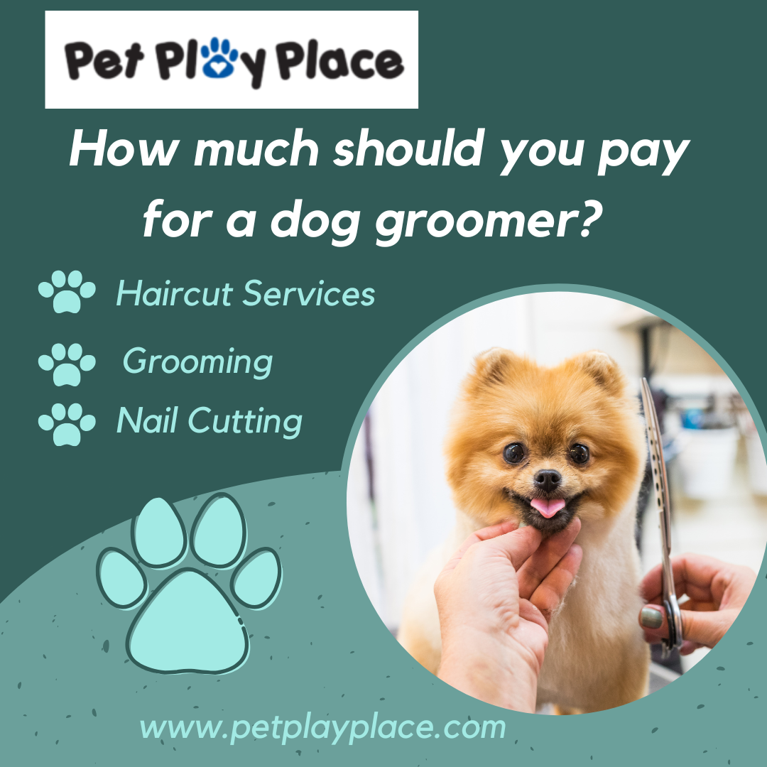 How much should you pay for a dog groomer?
