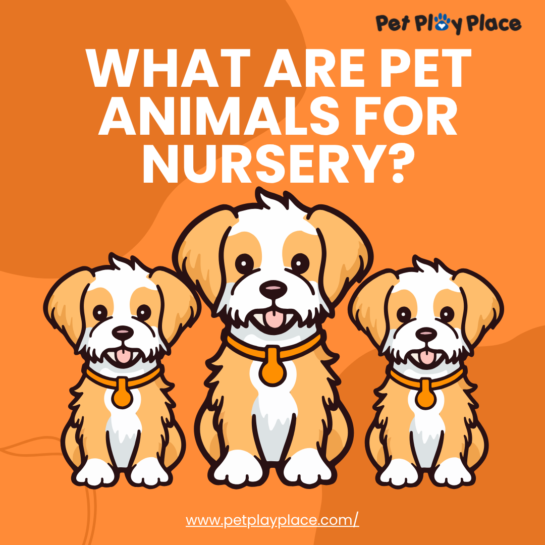 What are pet animals for nursery?