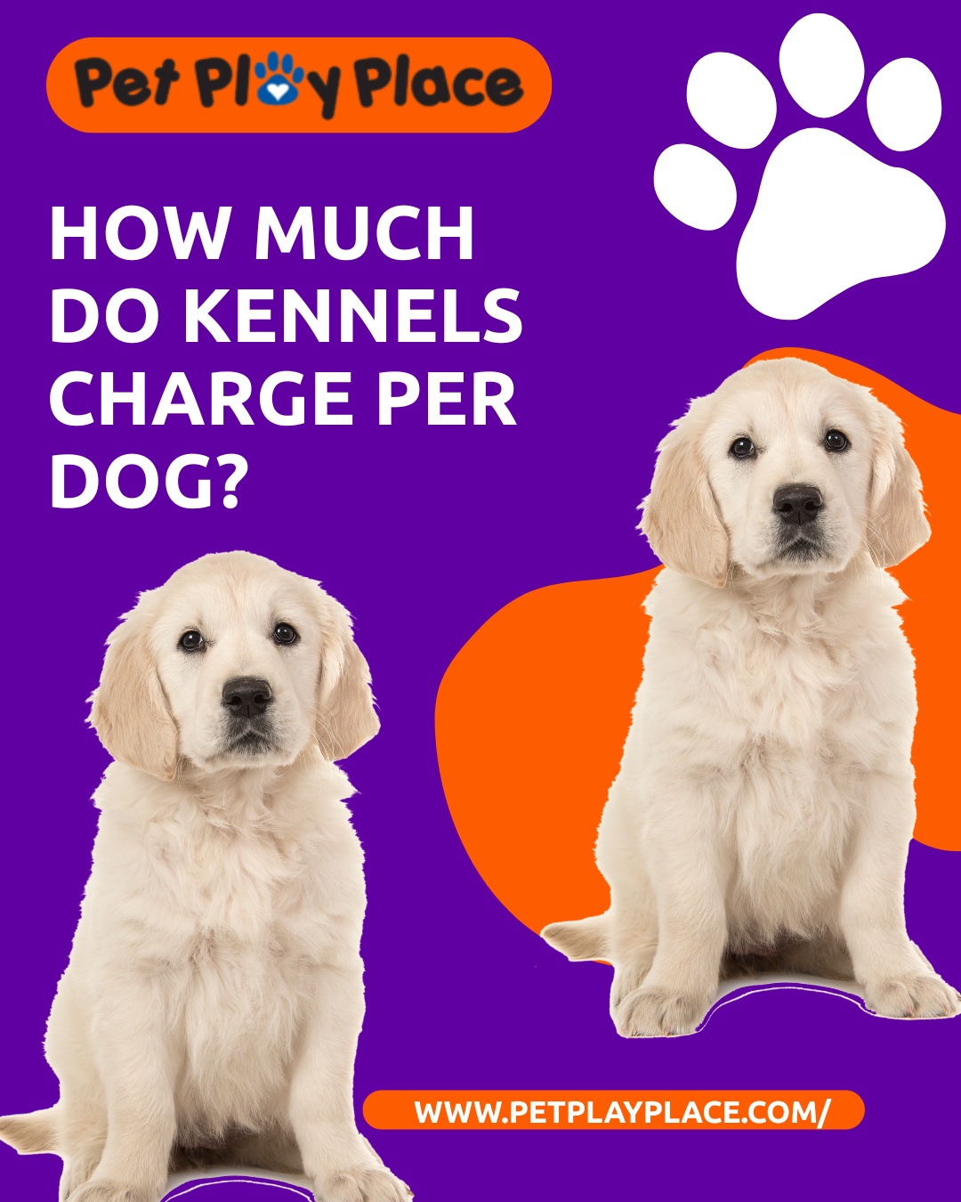 How much do kennels charge per dog?