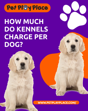 How much do kennels charge per dog?
