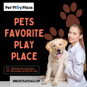 What's your dog's favorite place in the home?