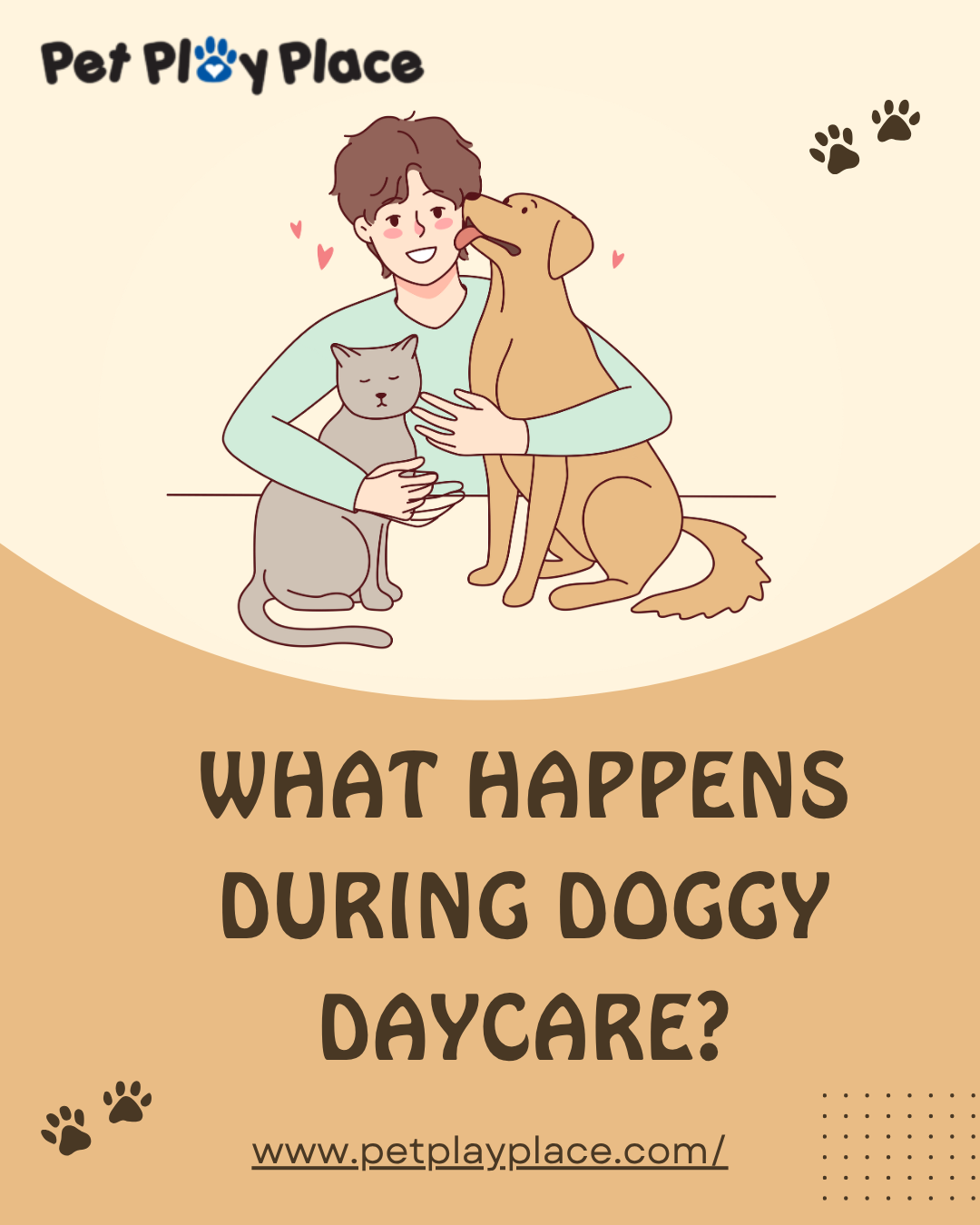 What happens during doggy daycare?