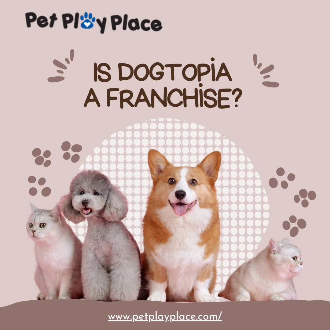 Is Dogtopia a franchise?