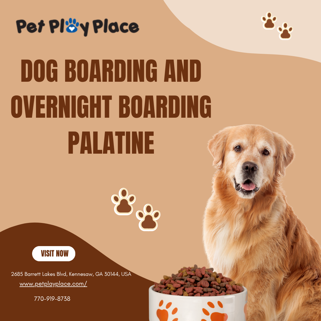 Dog Boarding and Overnight Boarding Palatine