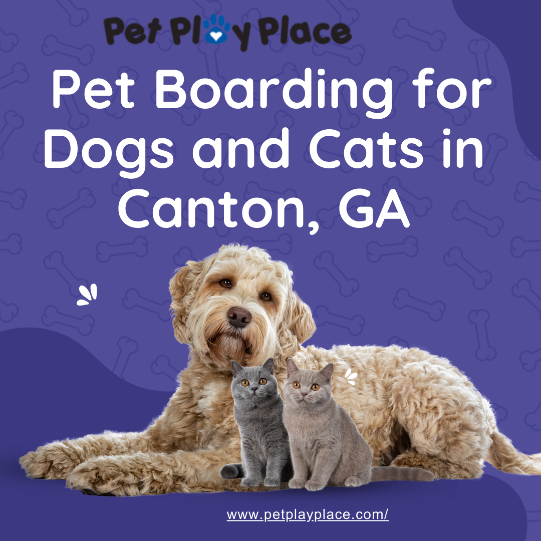 Pet Boarding for Dogs and Cats in Canton, GA