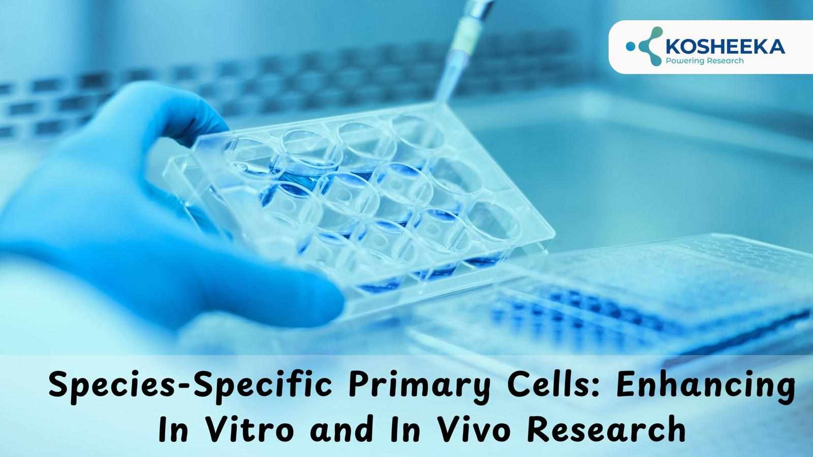 Species-Specific Primary Cells: Enhancing In Vitro and In Vivo Research