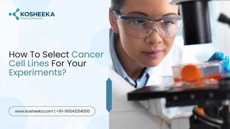 How To Select Cancer Cell Lines For Your Experiments?
