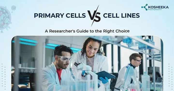 Primary Cells vs. Cell Lines: Choosing the Right Option for Research