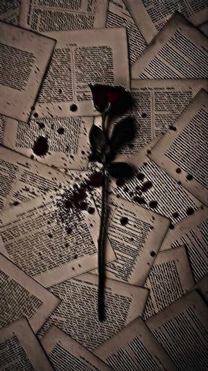 Innocent_author.97 logo