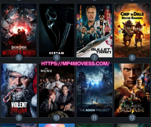 moviess31 official