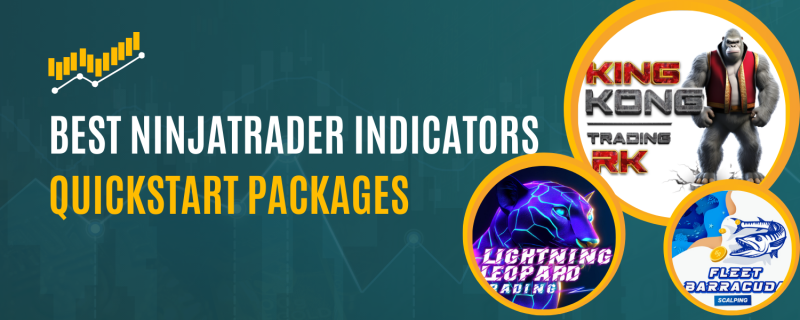 The Best NinjaTrader Indicator for Precision Trading - Why RenkoKings Leads the Game