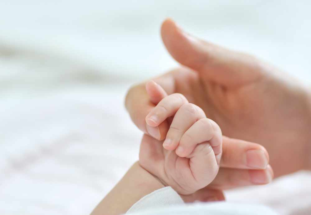 Your Partner on the Journey to Parenthood